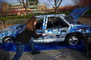 Battle of the Valleys